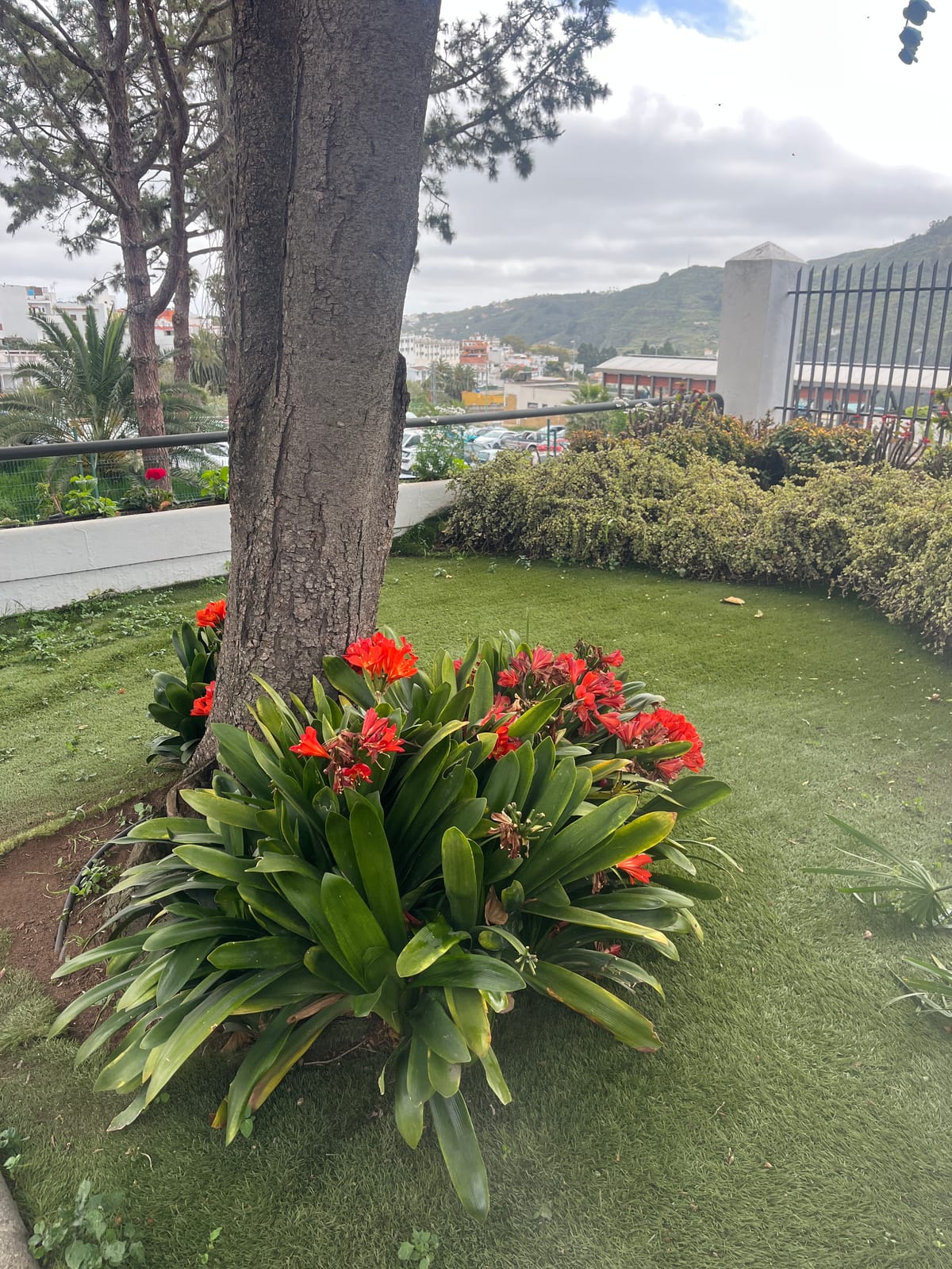 GRAN CANARIA FLY & DRIVE